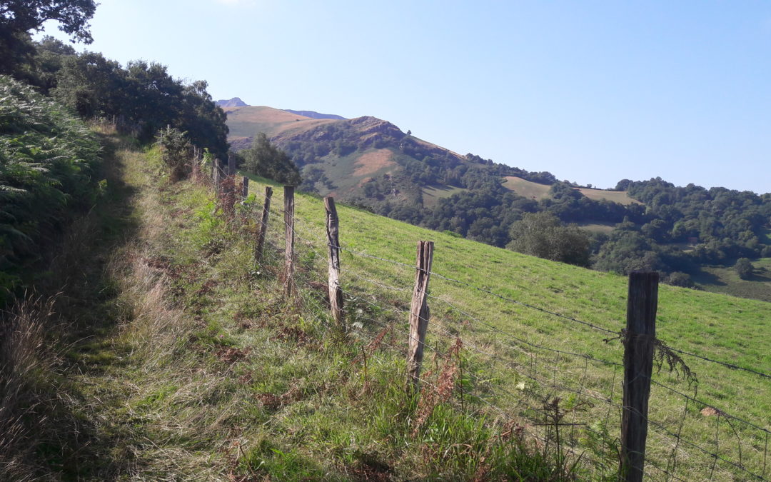 Retour de vacances : la marche, vacance(s) et bien plus…