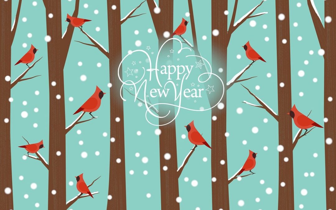 Combien de fois dit-on « bonne année » en janvier chaque année ?