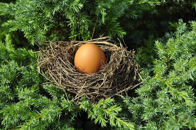 egg-1600890_640